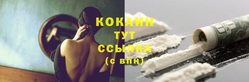 где продают   Железногорск  КОКАИН Fish Scale 