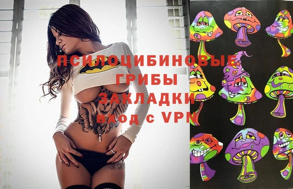 ГАЛЛЮЦИНОГЕННЫЕ ГРИБЫ Осинники