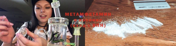 ГАЛЛЮЦИНОГЕННЫЕ ГРИБЫ Осинники
