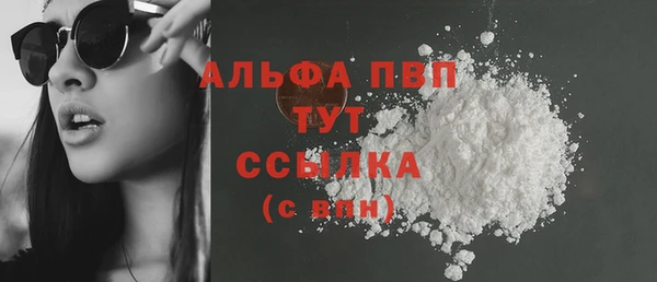 ГАЛЛЮЦИНОГЕННЫЕ ГРИБЫ Осинники