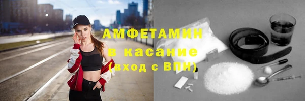 ГАЛЛЮЦИНОГЕННЫЕ ГРИБЫ Осинники