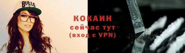 ГАЛЛЮЦИНОГЕННЫЕ ГРИБЫ Осинники