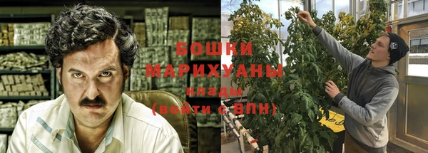 ГАЛЛЮЦИНОГЕННЫЕ ГРИБЫ Осинники