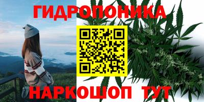 кокс Гагарин