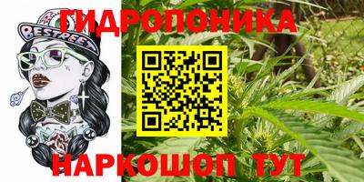 гашиш Гатчина