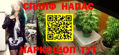 гашиш Гатчина