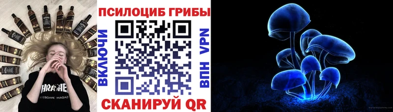 Псилоцибиновые грибы мицелий Железногорск