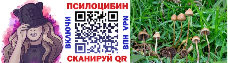Галлюциногенные грибы Magic Shrooms Железногорск