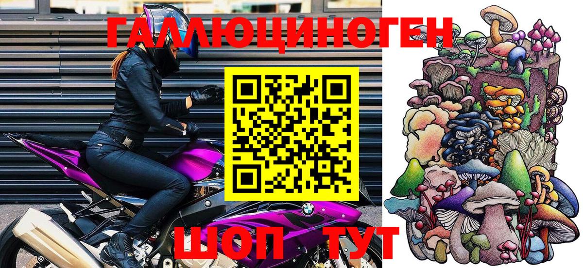 Галлюциногенные грибы Psilocybine cubensis  Железногорск 