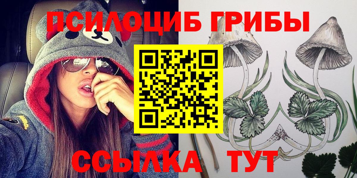 Железногорск  Псилоцибиновые грибы Psilocybine cubensis  Вход с VPN 